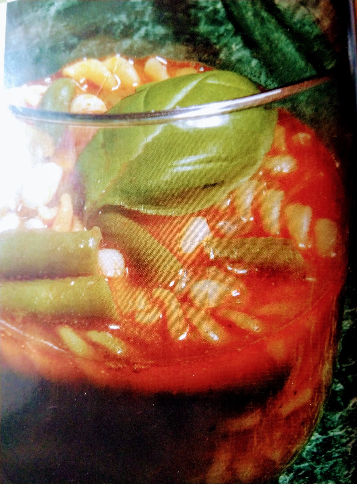 Minestronesupp